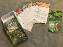 ficheJF fiches jardin forêt